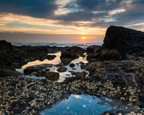 886350_10151558847286264_749447593_o