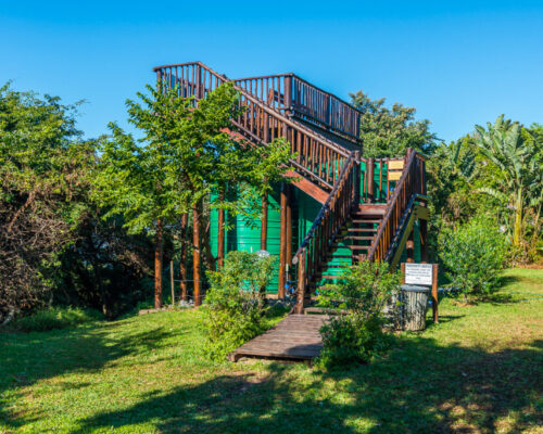 Whale Watching post (2)