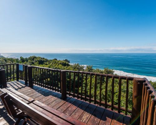 Whale Watching post (1)