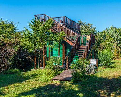 Whale Watching post (2) Whale Watching post (2)